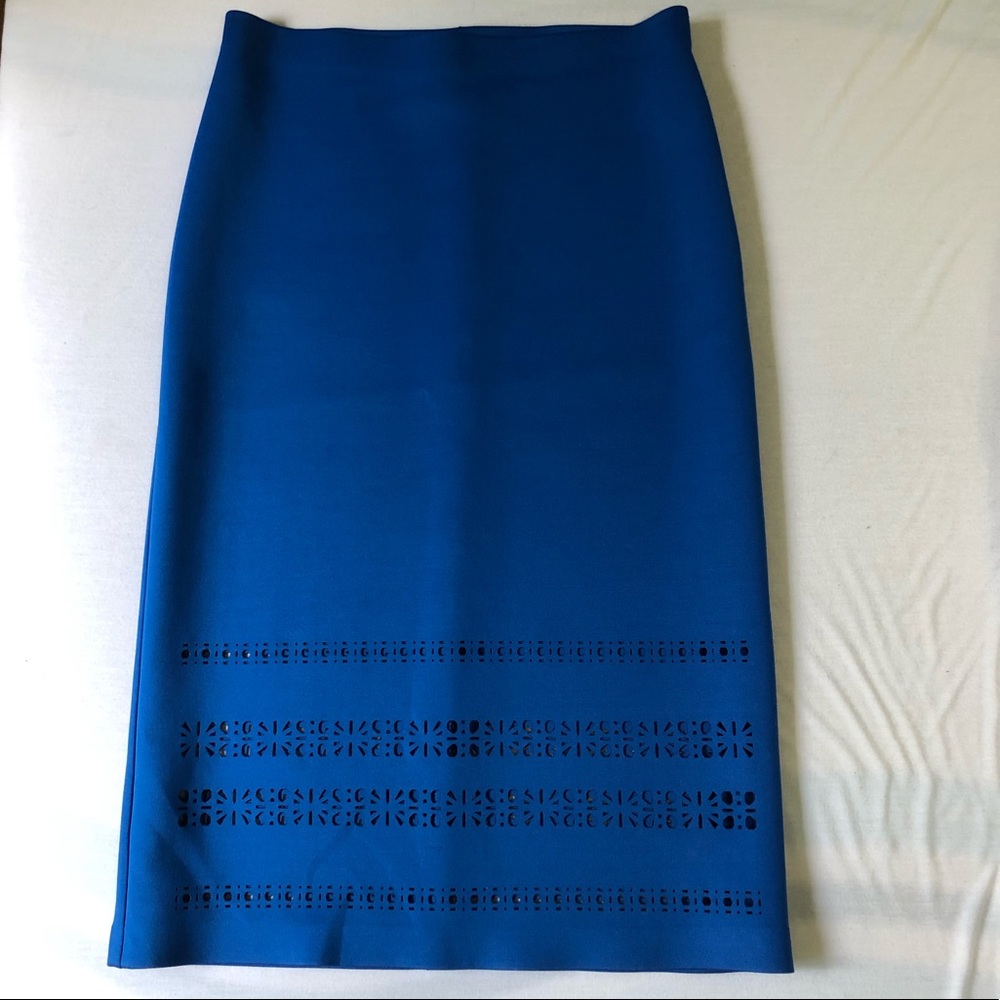 High Waisted Skirt with Cutouts